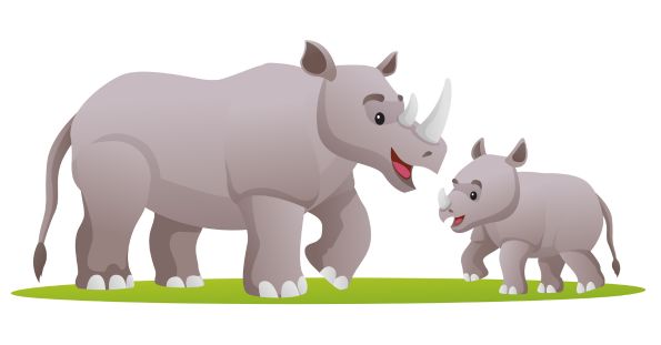 rhinoceros and calf
