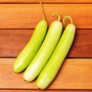 Bottle Gourd