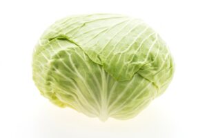 Cabbage