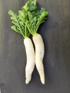 Radish