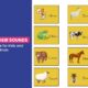 Fun chart of animals and their sounds for kids – cat meows, cow moos, duck quacks, and more