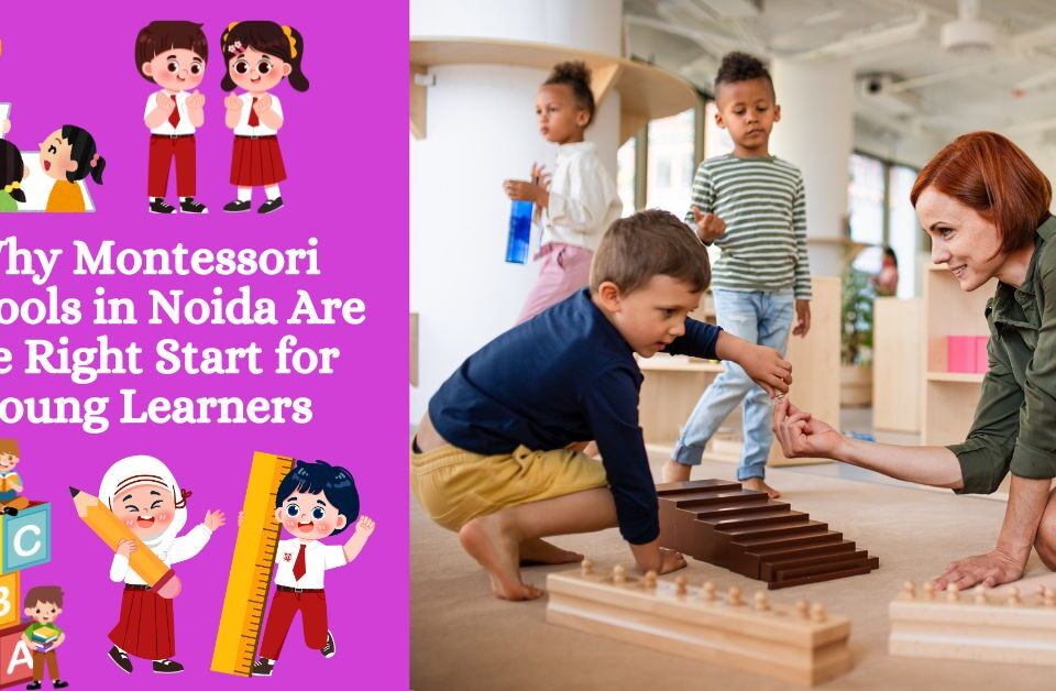 Montessori teacher guiding children with hands-on learning activities in a classroom environment