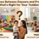 Feature image illustrating the key differences between daycare (nurturing care and flexible hours) versus preschool (structured learning and school readiness) environments for toddlers.